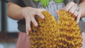 榴蓮剝好肉后，搗成泥狀。