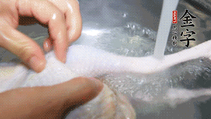 土雞處理干凈。（如果買不到土雞，一般的雞也是可以的，不過需要汆水。溫水下鍋汆燙7分鐘左右，汆燙時(shí)需要適時(shí)翻動(dòng)。汆燙雞肉是為了去掉生腥味，也是一次徹底清潔的過程，可以使燉出的湯清爽而不渾濁，鮮香而無異味）