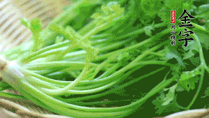 挑選鮮嫩的香菜，洗干凈后，處理成小段。