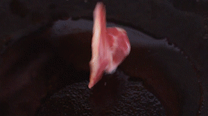 鍋中倒入橄欖油燒熱，放入淡火腿小火煸炒至打卷狀態(tài)。