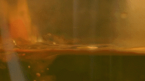 雞肉、鹽、料酒入冷水鍋水開后撇去浮沫，溫水洗凈。