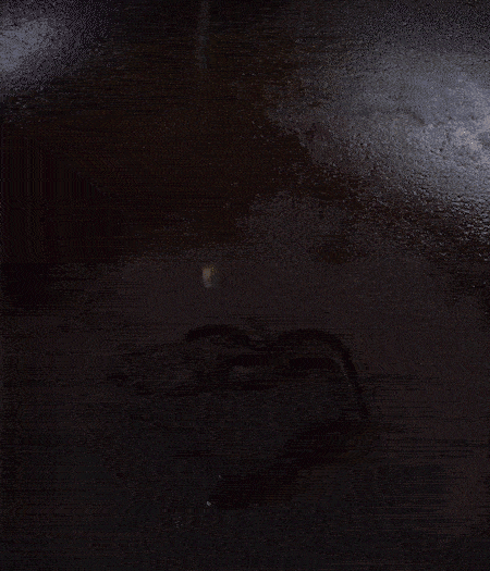 冷鍋熱油，下蒜片爆香，下香腸、玉米筍、蓮藕、西芹爆炒，期間加點(diǎn)水，翻炒1分鐘后加新鮮百合片，翻炒30秒。