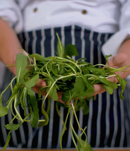 馬蘭頭焯水，切成細末。